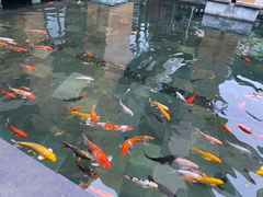 -三亚湾海居铂尔曼度假酒店