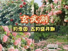 -A One Kitchen·南京精菜馆(晶丽酒店店)