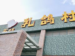 -石岐乳鸽村(南海第三分店)