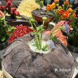 龙泉桃花节，男朋友叫我到这里约会  