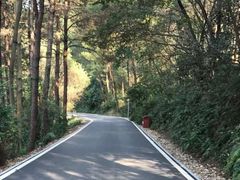 -三门江国家森林公园