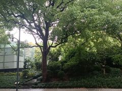 -上海科技馆(地铁站)