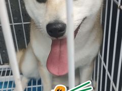 -宠物家(大兴旧宫店)