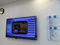 -北京观赏动物医院·24小时大型综合·猫专科·异宠专科