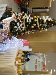 点击看大图 -宝生月子中心·独栋独院式(南山店)