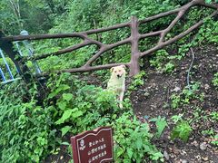 -终南山南五台景区