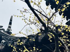 -海马体照相馆(上海宝山万达广场店)