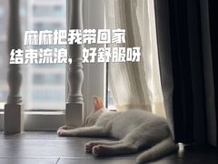 -谐和贝康宠物医院24小时·宠保定点(急重症转诊中心)