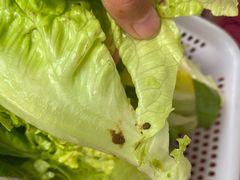 -新合益乡村农庄