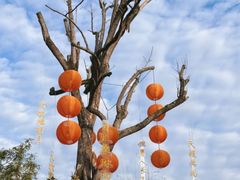 -白鹭湾湿地公园