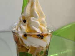 -Salud撒露欧洲冻酸奶(北苑上品店)