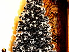 -王府井天主教堂