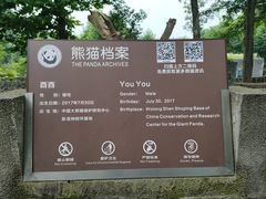 -都江堰中华大熊猫苑