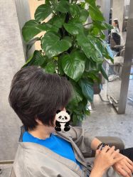 -P.STYLE 派斯造型