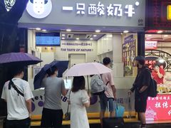 门面-一只酸奶牛(八一路店)