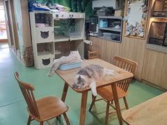 -藦茜花园宠物主题亲子互动体验馆(国顺东路店)