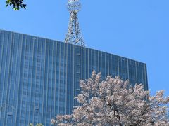 -四川大学(望江校区)