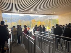 -千年银杏谷文化旅游区