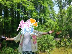 -日照海滨国家森林公园