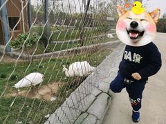 -太原动物园
