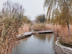 -春风习习