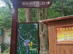 -东莞市大岭山森林公园