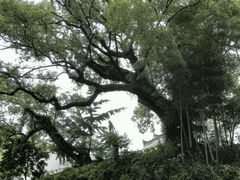 android_upload_pic-千岛湖龙川湾