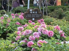 -洛阳市隋唐城遗址植物园