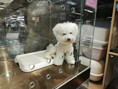-FAELING PETS美天灵宠物(富力广场店)
