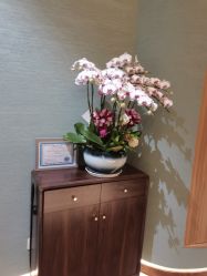 -娇玫荟SPA
