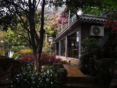 -老幺泉水鸡