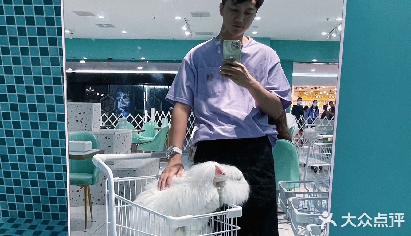 第一次见到这么大的🐰安哥拉兔/完全抱不动