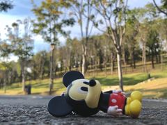 -牛岗山公园