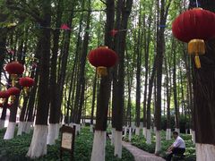 -瀛洲公园