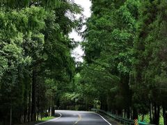 -黟县屏山村