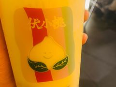 -伏小桃(明瓦廊店)