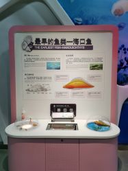 -北京科学中心儿童乐园