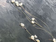 -丽江泸沽湖景区