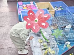 -周浦小上海步行街