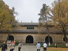 -灵谷景区