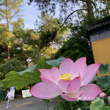 杭州灵隐寺 法喜寺一日游旅行攻略|⌚️
