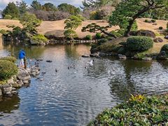 -水前寺成趣园