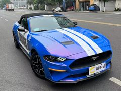 -靓车会汽车贴膜(双楠店)