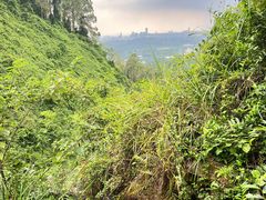 -水濂山森林公园