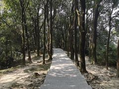 -火炉山森林公园