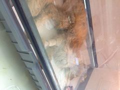 盛京一禾-盛京一禾