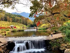 -广州市石门国家森林公园