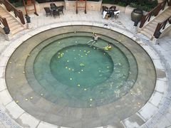 -苏州湾王焰温泉度假酒店