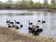 -长春北湖公园