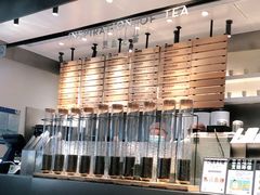 -喜茶(上海兴业太古汇店)